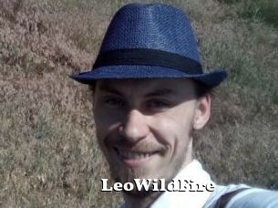 LeoWildFire