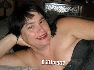 Lilly377