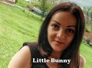 Little_Bunny_