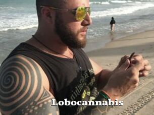 Lobocannabis