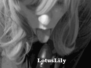 LotusLily