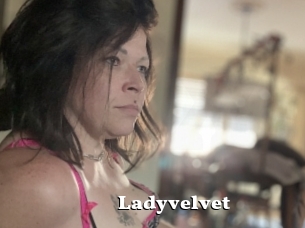 Ladyvelvet