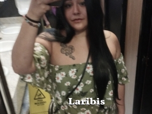 Laribis