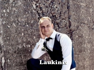 Laukinis