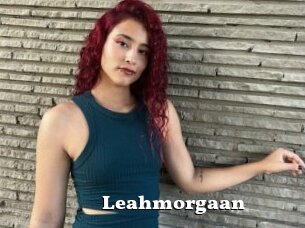 Leahmorgaan