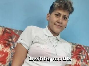 Lesbbigasstits