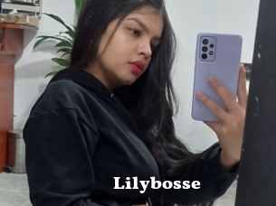 Lilybosse