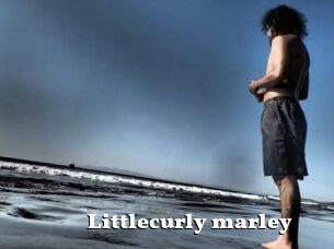 Littlecurly_marley