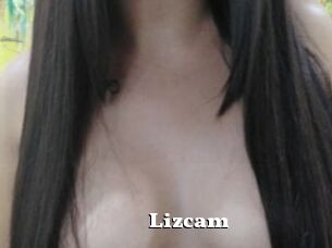 Lizcam