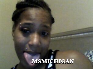 MSMICHIGAN