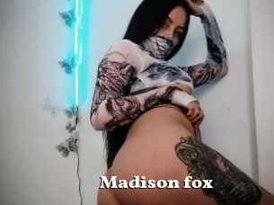 Madison_fox