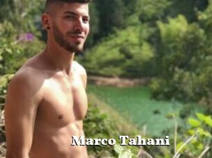 Marco_Tahani