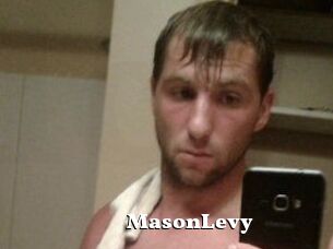 Mason_Levy