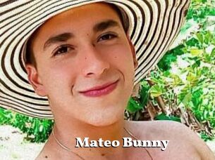 Mateo_Bunny