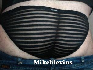 Mikeblevins