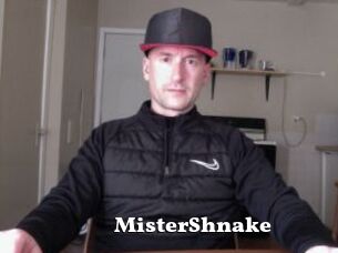 MisterShnake