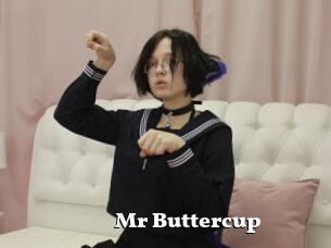 Mr_Buttercup