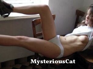 MysteriousCat