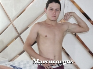 Marcusorgus