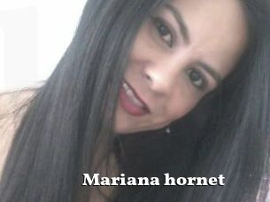 Mariana_hornet