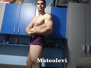 Mateolevi