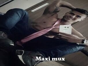 Maxi_mux