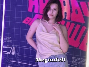 Meganfelt