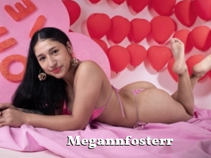 Megannfosterr