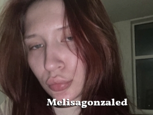 Melisagonzaled