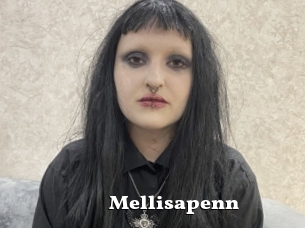 Mellisapenn