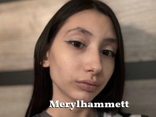 Merylhammett