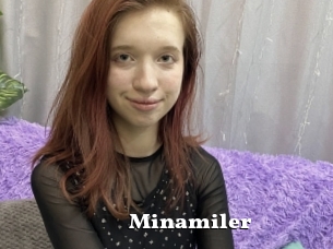 Minamiler