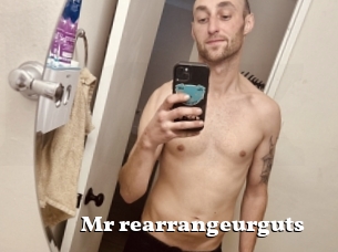 Mr_rearrangeurguts