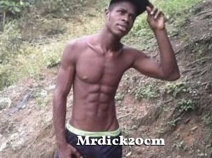 Mrdick20cm