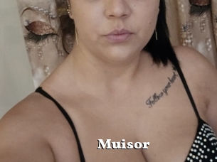 Muisor