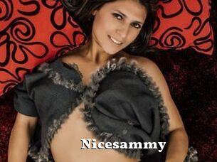 Nicesammy