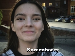 Noreenborer