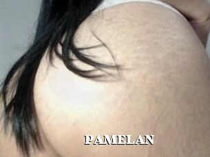 PAMELA_N