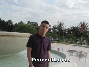 PeaceofLoves