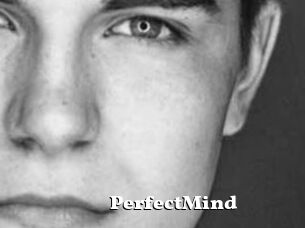 PerfectMind