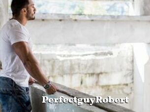 PerfectguyRobert