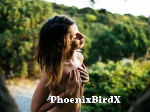 PhoenixBirdX