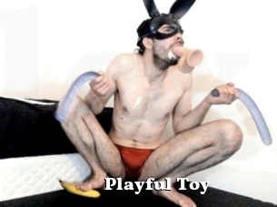 Playful_Toy