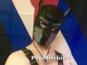 PupMischief