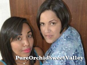 PureOrchidS_weetValley