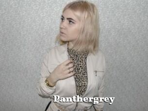 Panthergrey