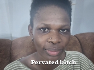 Pervated_bitch