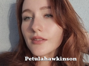 Petulahawkinson