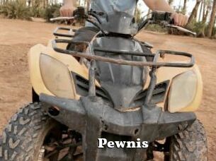 Pewnis