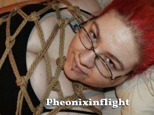 Pheonixinflight